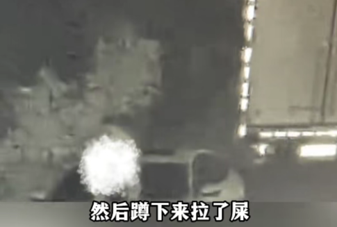 排泄